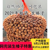  Picking new goods in 2021 Zhongtieling Kaiyuan wild hazelnuts net pocket raw hazelnuts straight hair shipped in September