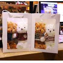 Couple teddy bear a pair of toys Small Bear paparazzi doll for male and female friends gifts cuddled cub cute cloth dolls