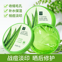 Aloe Vera gel moisturizing and desalinating acne for men and women after Sun repair natural soothing skin official monopoly