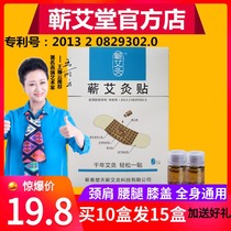 Qi moxibustion patch Shi Zhen prescription Shoulder and neck wormwood leaves warm palace waist and legs Hubei Li Shizhen Qi Ai Tang Hot compress Patch