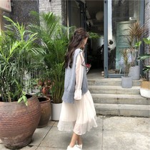 0821 early autumn dating suit female hipster slim temperament long sleeve dress sleeveless vest French niche two