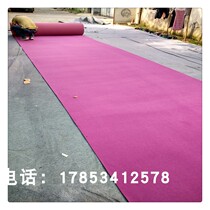 Needle-punched brushed carpet Rental room temporary carpet Short-term use thickened carpet Childrens room dollhouse short-term carpet