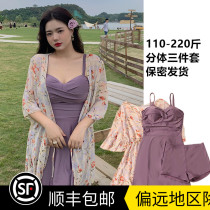 Big Code Swimsuit Woman Fat mm200 Catty Girl With Slim Foam Spa Split Three Sets Sexy Big Breasts Gather To Break Flowers