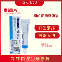 Swiss Sugao Jie Yat oral Cream 5G pet cat dog oral inflammation gingival wound Ulcer Care