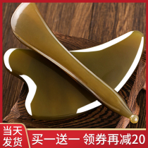 Natural white buffalo horn scraping board facial beauty pluck female face back relaxation muscle full body Universal