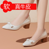 Lady Pointed Shallow Mouth Single Shoes Spring New Genuine Leather Coarse Heel Soft Bottom Positive Dress Mid Year Heel Working Womens Shoes