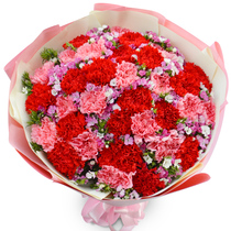 Carnation Hubei Xiaogan Xiaonan Development Zone Yingcheng Anlu Hanchuan City Tongcheng Flower Shop Express Delivery Flowers
