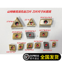 Deep hole drill blade guide block Sandvik deep hole drill bit deep hole drill blade 800-12t308 gun drill blade