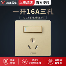 Bull 16A An air conditioning socket panel with one switch 3 three holes household high-power electric water heater Type 86