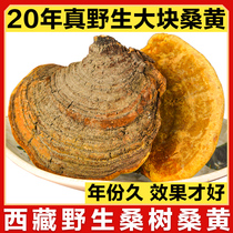 (20 years old)Tibet Wild mulberry Mulberry yellow Linzhi Ganoderma lucidum Tibet Autonomous Region specialty 500g