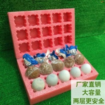 Duck egg tray Pearl cotton 30 pieces of express shockproof foam box native duck egg packaging box egg tray shatterproof gift