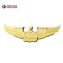 Eastern Airlines Chiefs uniform chest pin - pin NanAir Air Nanyang Airlines flight badge brooch