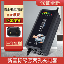 New national standard new Lei Green Source electric car charger 48v12ah60v20ah72v30ah original Universal