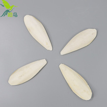 Parrot cuttlefish bone Xuanfeng tiger skin peony parrot calcium molars supplies bird food bite toys
