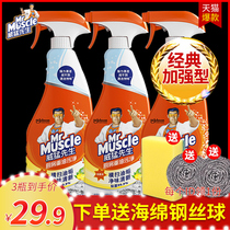 Mr. WeyRaph kitchen degreaser powerful cleaning agent OIL RANGE HOOD HEAVY OIL STAINER FOAM DETERGENT HEAVY OIL NET