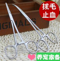 Pet With Stainless Steel Cat Tourniquet Dog Beauty Plucking Hair Calipers Straight Head Elbows