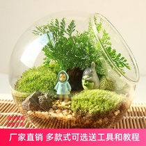 Micro landscape oblique mouth glass vase Moss fleshy DIY ecological bottle Home office desk Green plant decoration jewelry