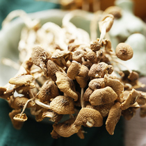 Coarse grain workshop dried tea tree mushroom dried goods tea tree mushroom dry farmhouse self-produced new Mushroom mushroom bulk 250g