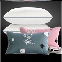 Pillow cute student dormitory bed home textile single soft summer autumn winter simple girl small single thick