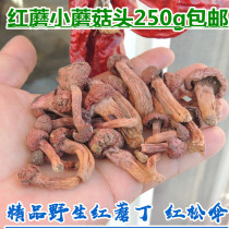 New picking wild red mushroom Ding small mushroom head boutique pine umbrella meat mushroom 250g specialty mountain rare mushroom