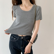 Sashimi 100 lap short sleeve T-shirt woman 2022 summer new large round collarbone inbuilt with bottom body shirt thin blouse