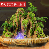 Sheung Shui stone original rock rockery absorbent stone landscape bonsai stone ornaments with plants complete set of fish tank potted live plants