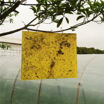  Super sticky double-sided adhesive insect board Yellow board Insect lure board Greenhouse flying insect fruit fly thrips armyworm board Waterproof sunscreen