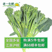 (Old a fresh fresh) fresh vegetables fresh broccoli Moss orchid Moss blue flower broccoli 500g