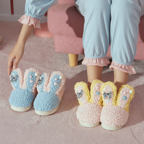Cotton slippers female winter home bag with thick bottom indoor cute home 2021 New plush warm slippers men