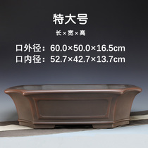 Purple sand flower pot rectangular bonsai pot king size 50 60cm outdoor ground old pile Classical Zhu Shuiming pot art