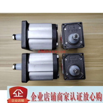 ALPP2-d-30-d ALP2BK7-S-9 Italy Marzocchi gear pump