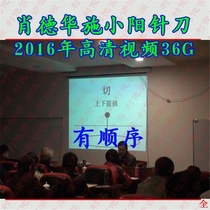2016 Xiao Dehua Shi Xiaoyang needle knife training video 36G(sequential version)