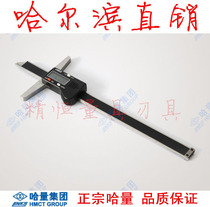 Hajkha quantity electronic digital display depth card ruler 200300500 * 0 01mm 01mm Harbin