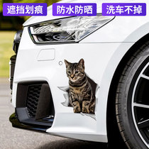 Car sticker creative personality 3D three-dimensional kitten car sticker cute cartoon cat funny body scratch cover sticker