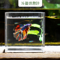 Bucket Fish Leaf Rest Leaves Spawning Leafy Water Group Pet Supplies Decoration Emulation Aqua Grass Fish Tank Rigging Hide Sleeping Bed