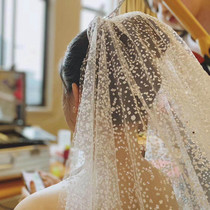 The sparkling new nemesis red luminous head yarn bride wedding extravagant wedding dresses accessories shiny long and tug-trailing head yarn