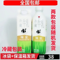 Weiquan milk Refrigerated fresh milk Fresh milk Fresh milk 950ml 12 bottles 6 bottles raw milk Pure milk Tea coffee shop