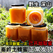 Qinling honey pure soil honey natural farmhouse wild flower honey honey honey self-produced hundred nectar winter honey 500g