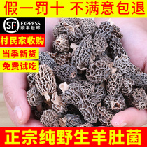 Yunnan specialized production of pure wild stomach dry mushroom mushroom mushroom soup cooking material
