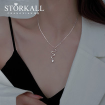 Sterling silver snake necklace female 2021 New ins tide light luxury niche design sense high sense choker fairy