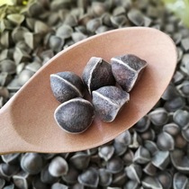 The efficacy of 500g authentic Indian moringa seeds Imported wild moringa seeds for bulk consumption Original