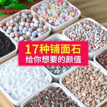 Meat-specific nutrient soil ceramsite vermiculite perlite perlite paving stone volcanic rock maifan stone granule Red Jade soil water Moss