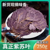 Chinese herbal medicine wild perilla leaf 250g perilla leaf dried edible perilla leaf tea bath foot to remove fishy spices