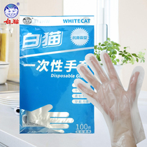 White Cat Disposable Gloves 200 Food Grade Home Catering Left and Right Hand