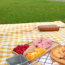 Moisture-proof mat Picnic cloth picnic mat spring outing outdoor portable waterproof grass picnic mat outing thickened ins Wind
