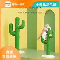 All Australia unstuck Cactus cat grabbing Post platform cat tree cat catch rack 80cm