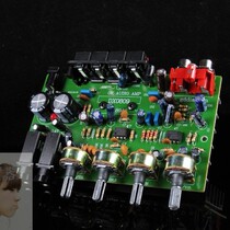 Dual microphone high power chip amplifier board 12V subwoofer amplifier board speaker motherboard built-in radiator