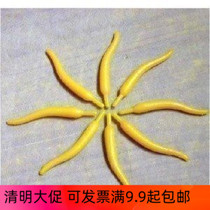 Simulated flower core of the horseshoe core Flash Core - DIY filament material silk - socking flower flower hand