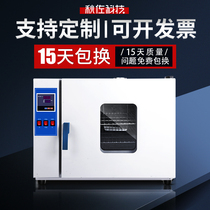 Electric constant temperature blast drying oven laboratory size Chinese medicine food oven vacuum industrial high temperature drying box