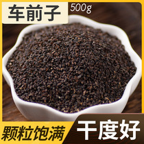 Finding Baicao Chinese herbal medicine plantain seed tea traditional Chinese medicine plantain wild chedori 500g non-Tongrentang